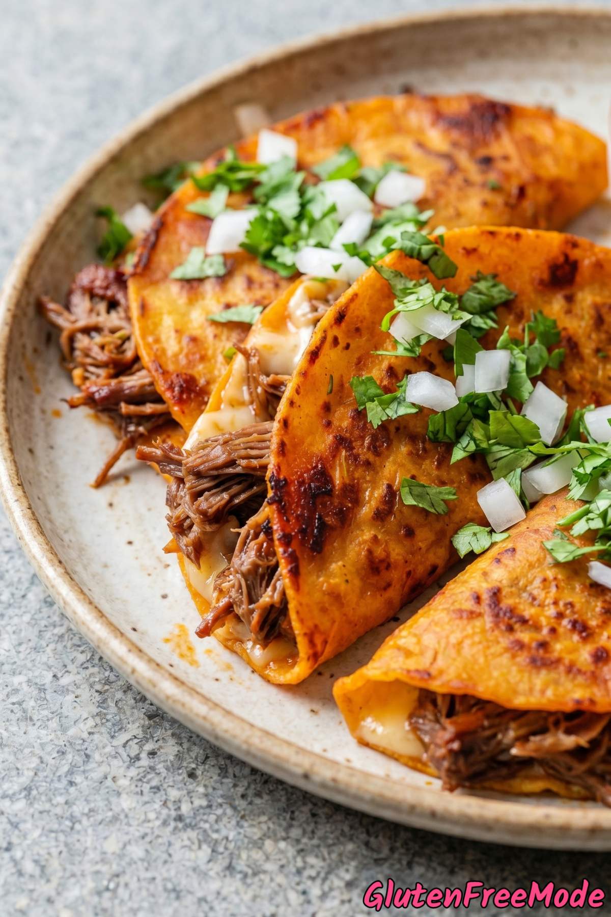 Rich gluten free beef birria tacos