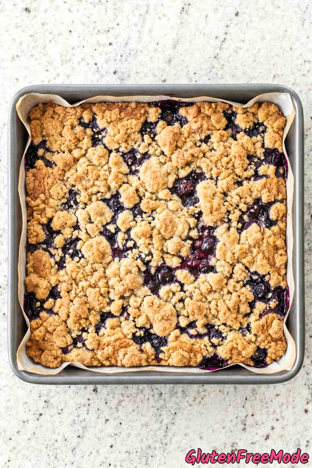 Sliced gluten free blueberry crumble bars