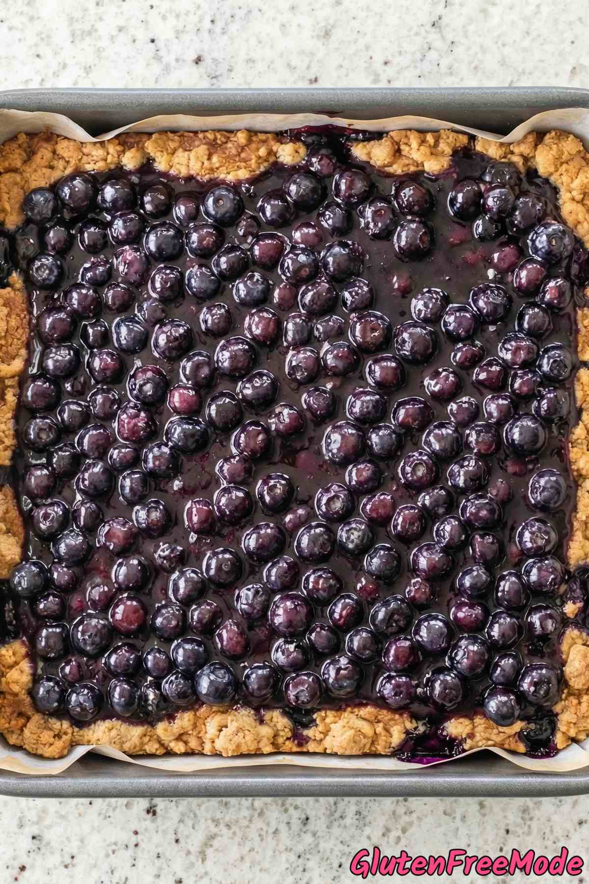Gluten Free Blueberry Crumble Bars Step 5