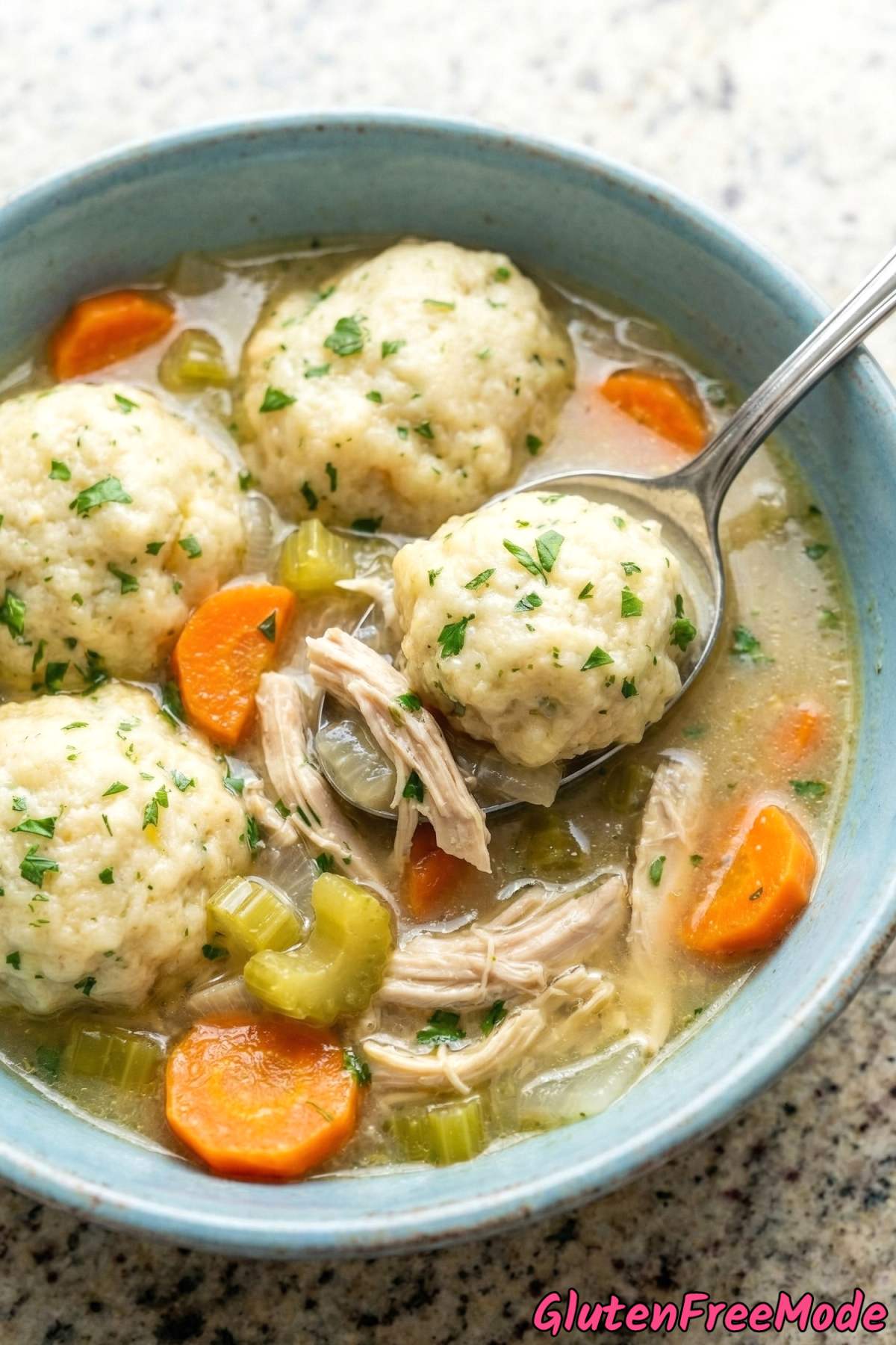 Savory gluten free chicken & dumplings dish