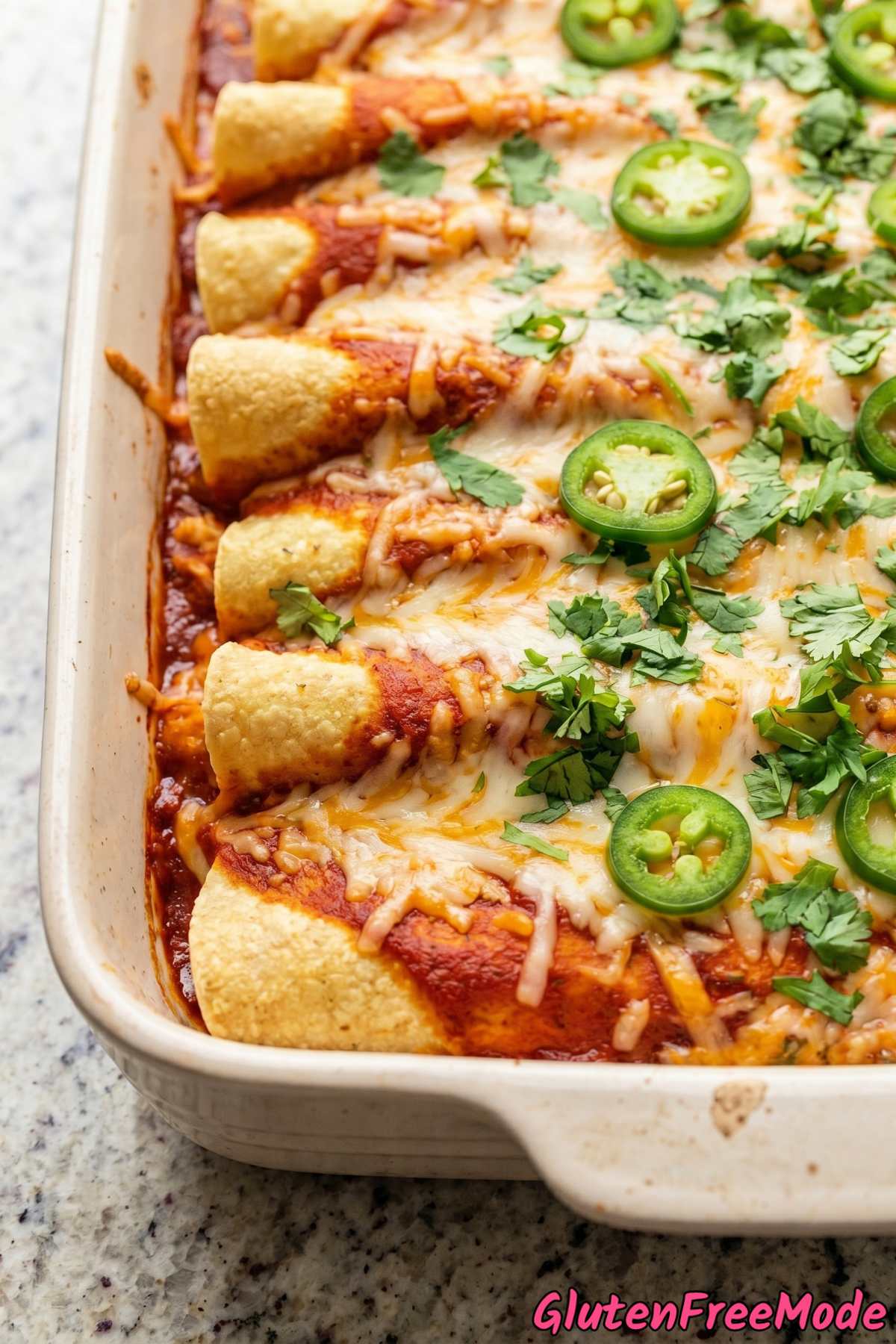Savory gluten free chicken enchiladas