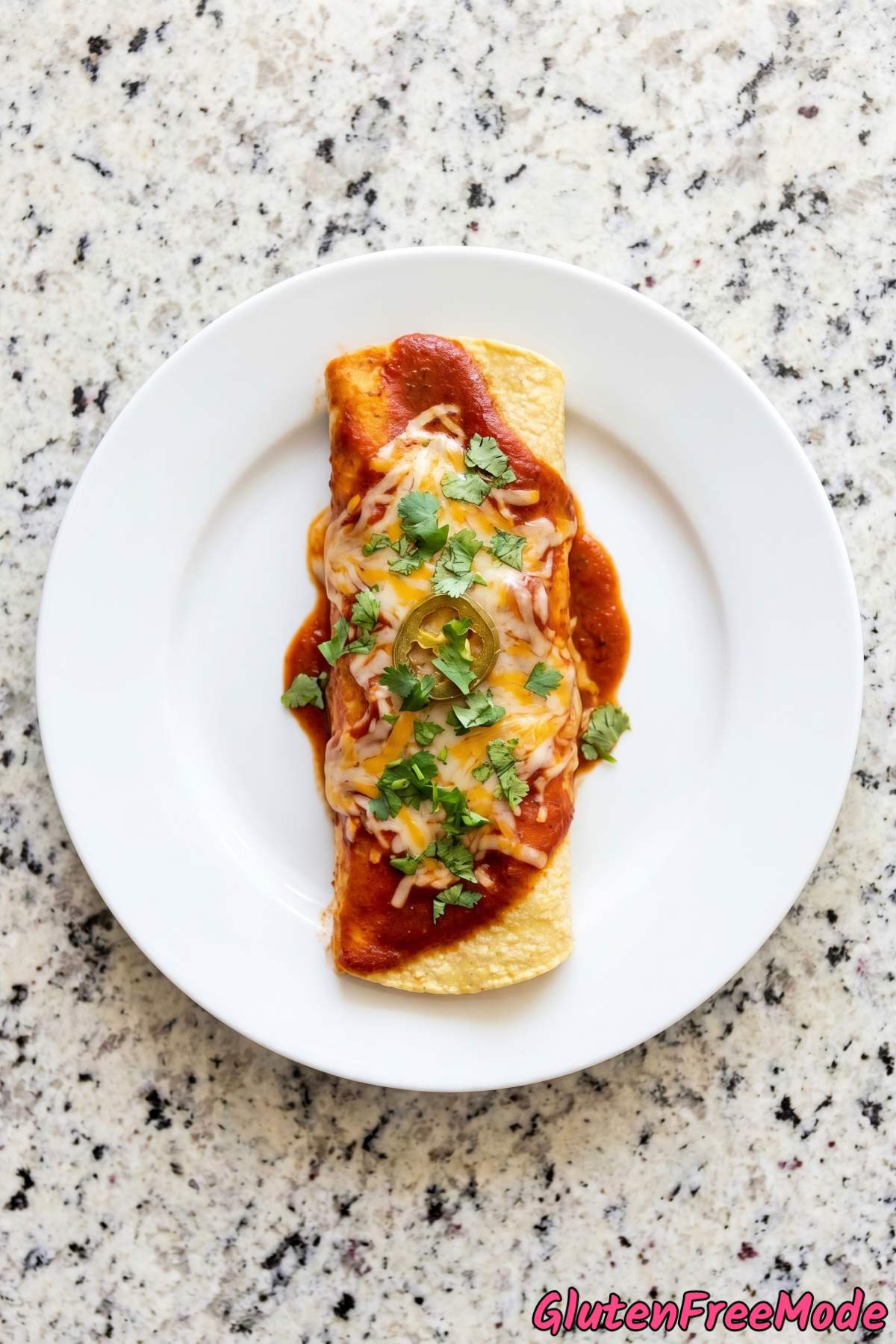 Creamy gluten free chicken enchiladas