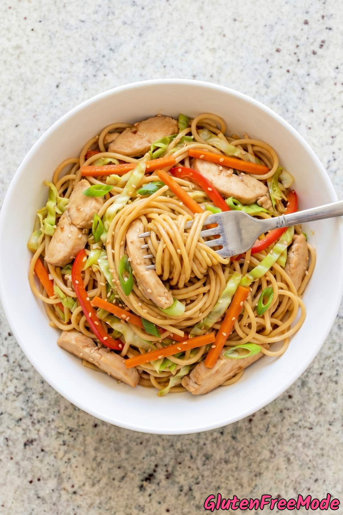 Tender gluten free chicken lo mein platter