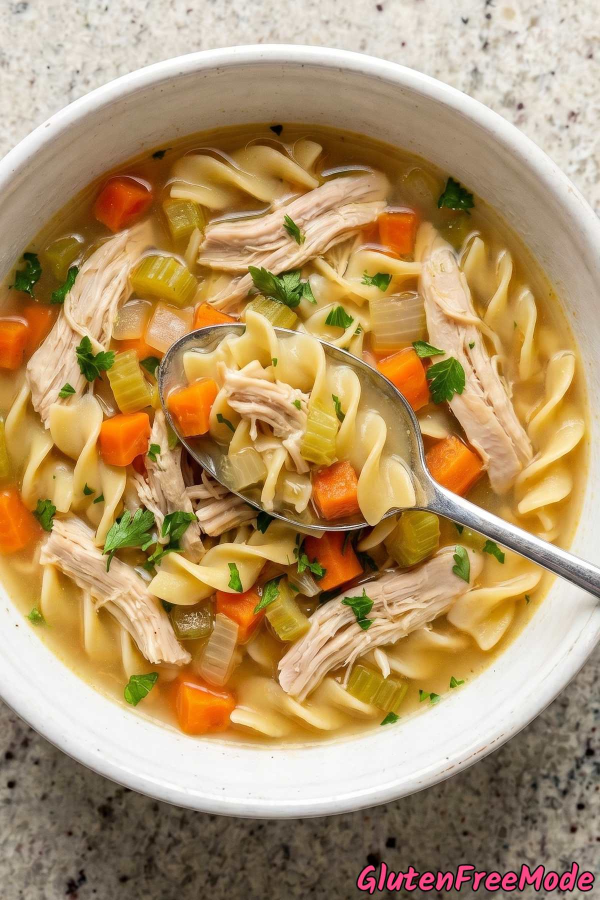 Savory gluten free chicken noodle soup