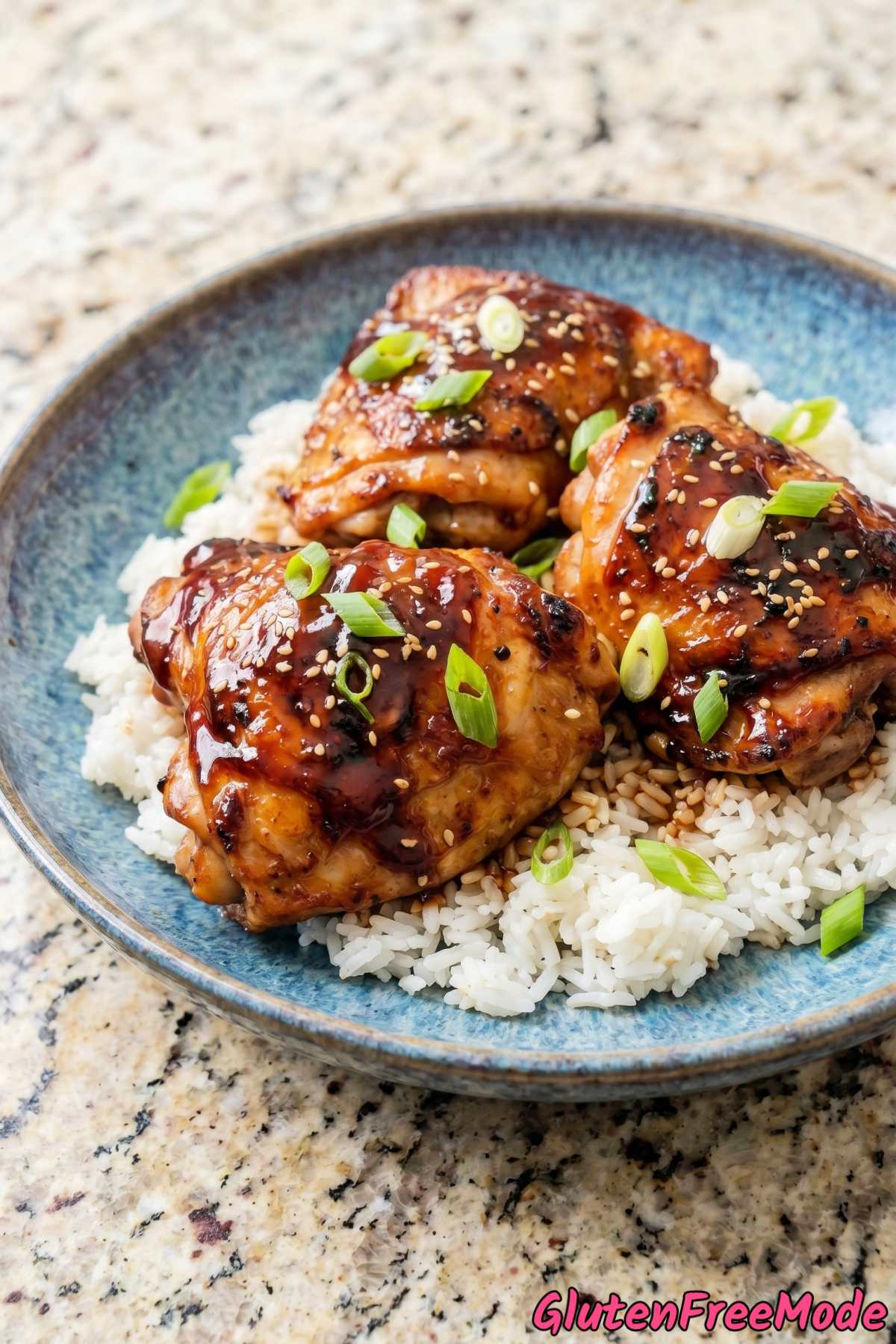 Aromatic gluten free chicken teriyaki platter