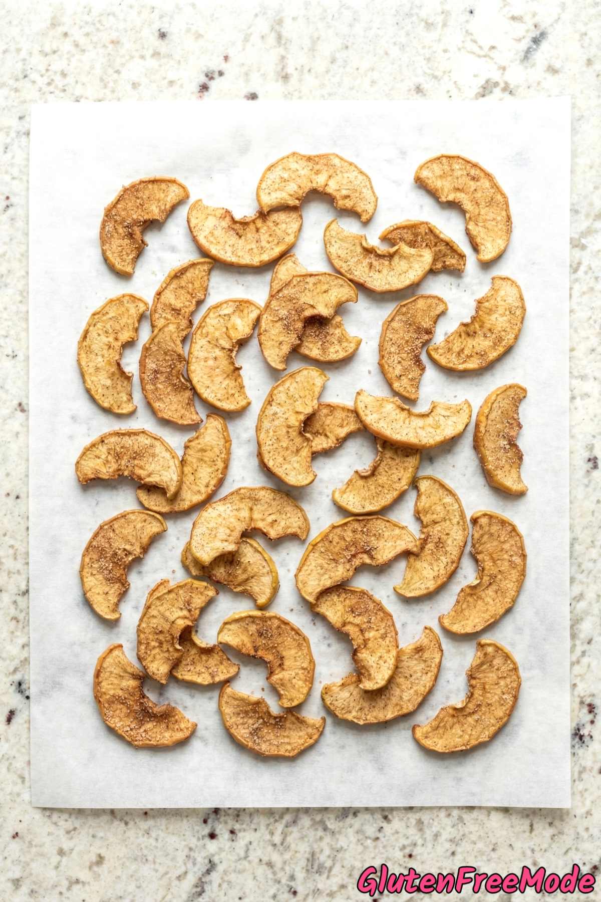 Irresistible gluten free cinnamon apple chips