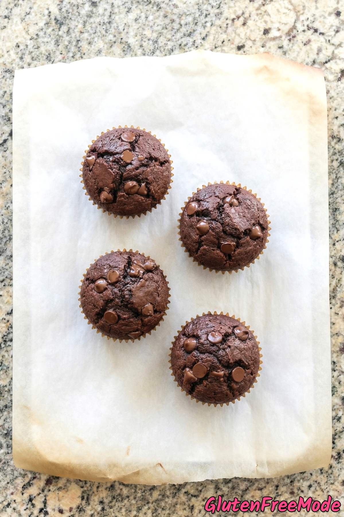 Rich gluten free double chocolate muffins