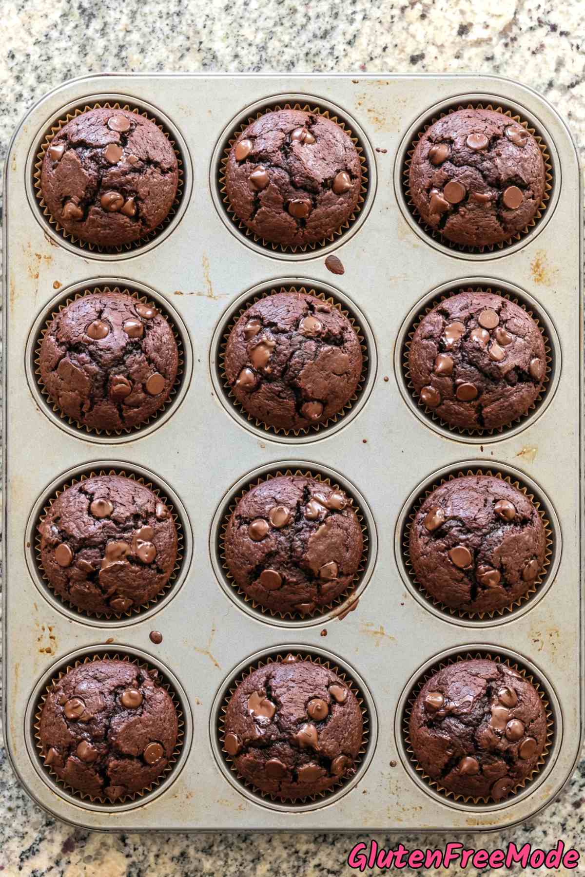 Fresh gluten free double chocolate muffins