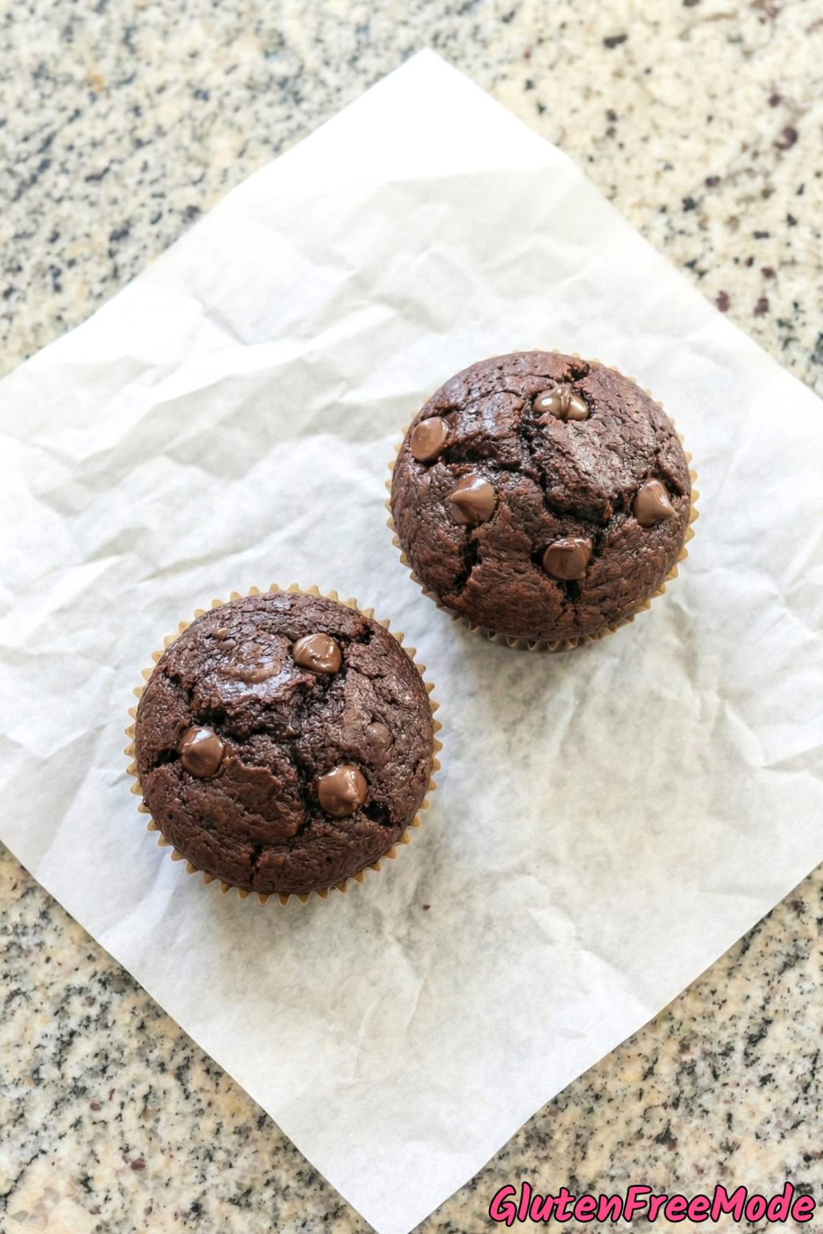 Tender gluten free double chocolate muffins