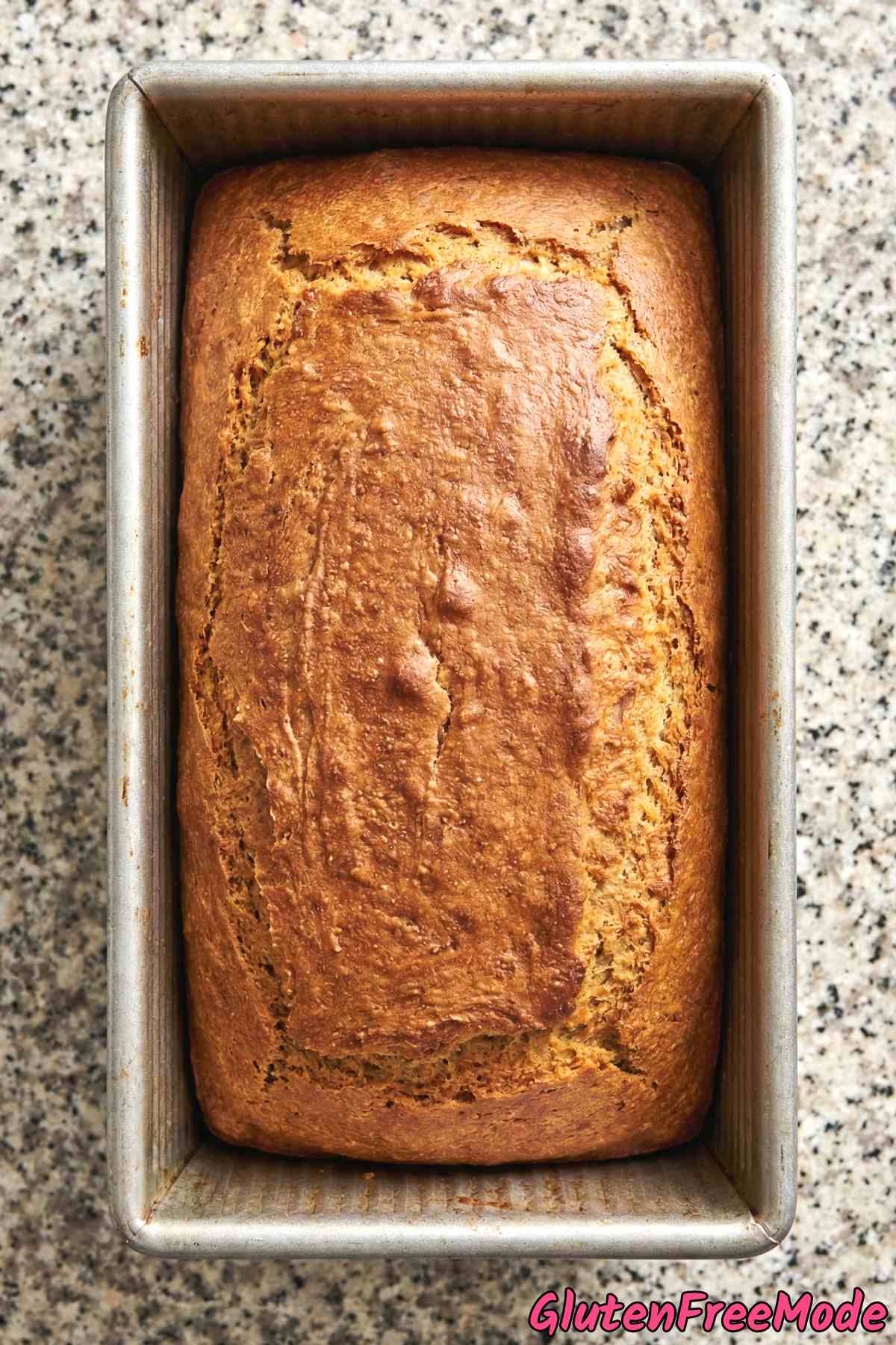 Fresh gluten free everyday sandwich loaf