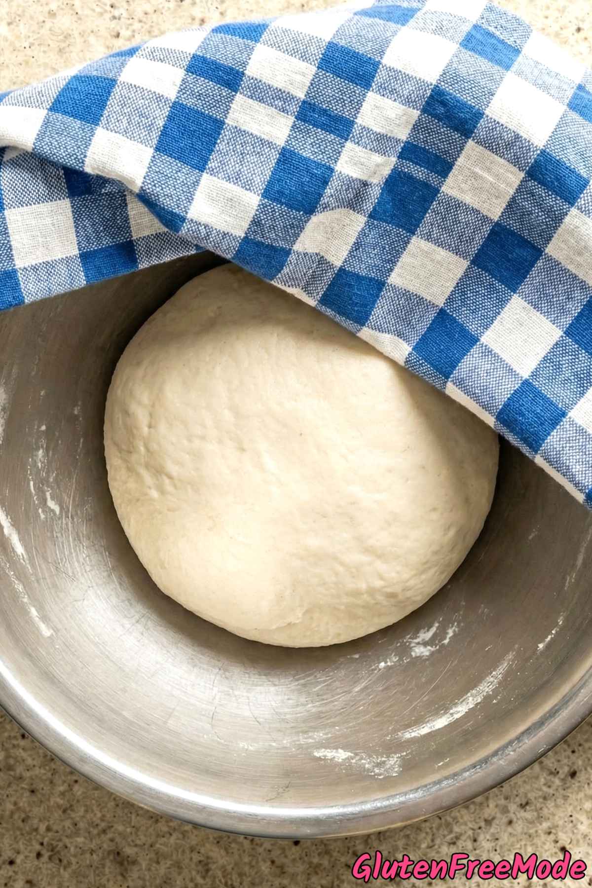 Gluten Free Flour-Style Tortillas Step 3