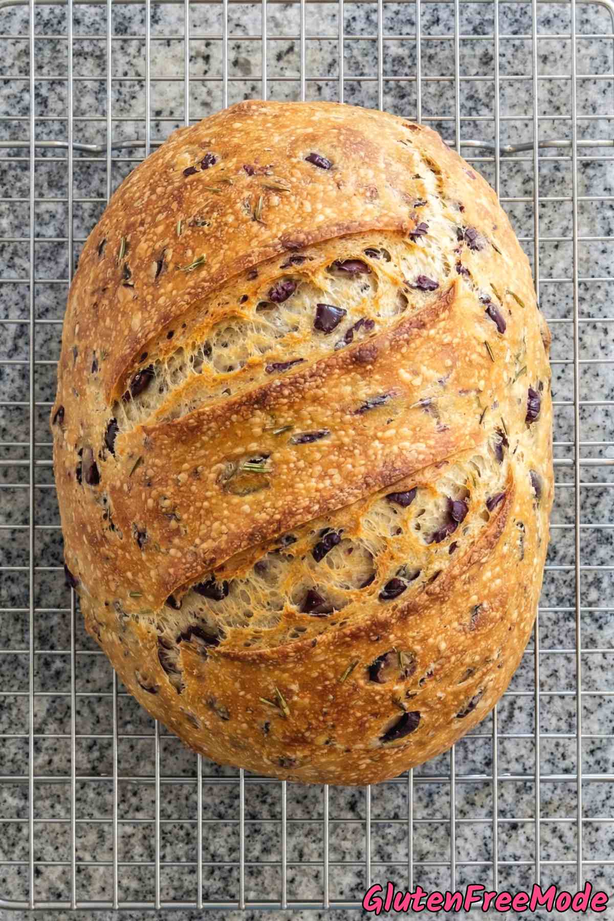 Hearty gluten free kalamata olive bread