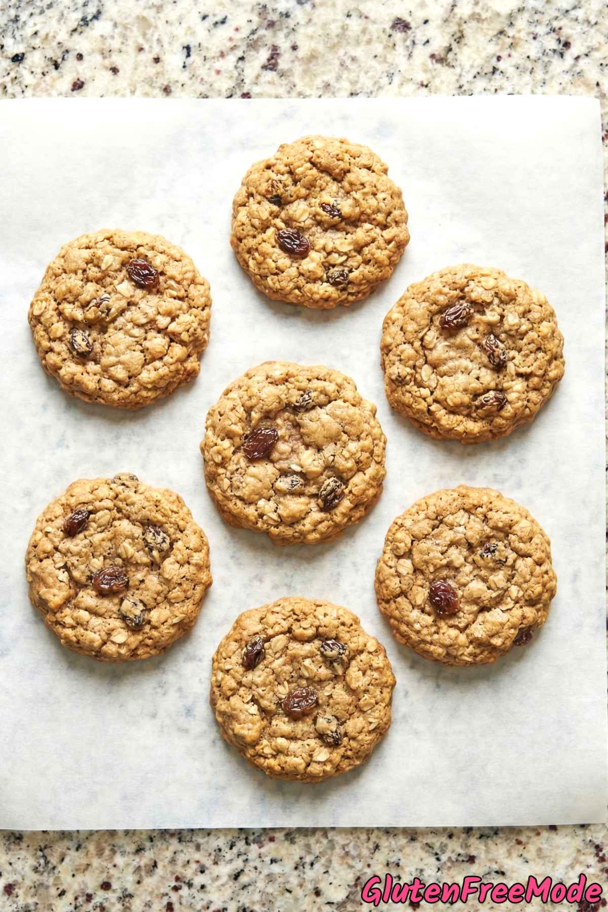 Homemade gluten free oatmeal raisin cookies