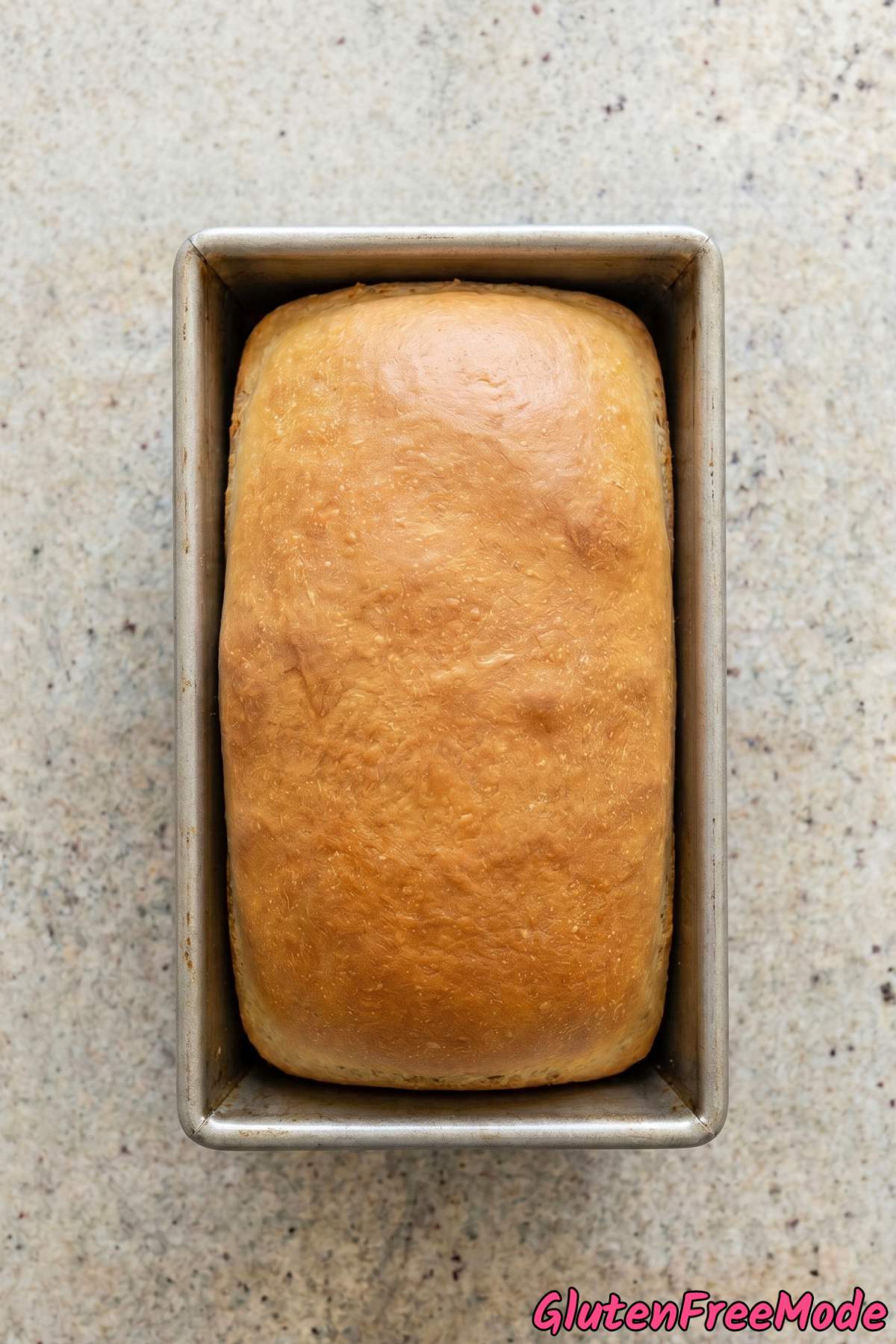 Warm sliced gluten free potato bread