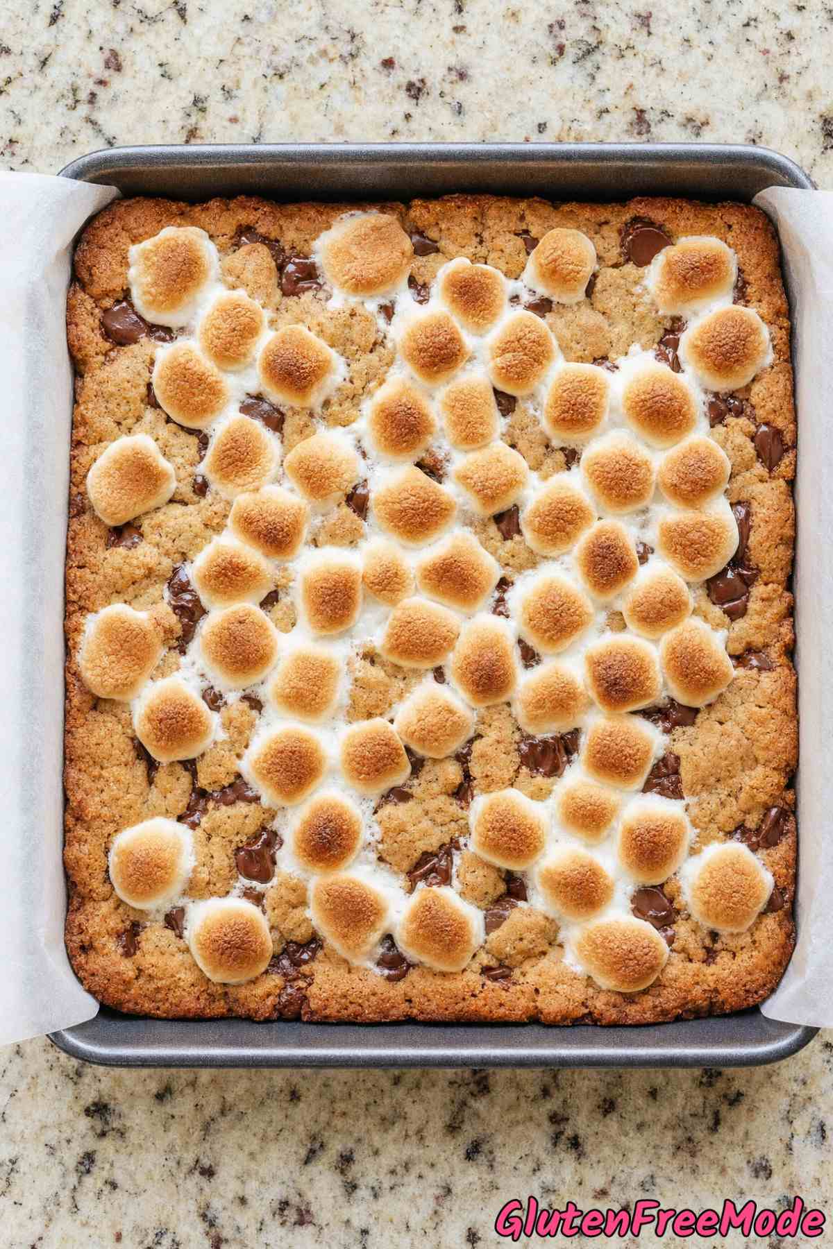 Decadent gluten free s'mores bars closeup
