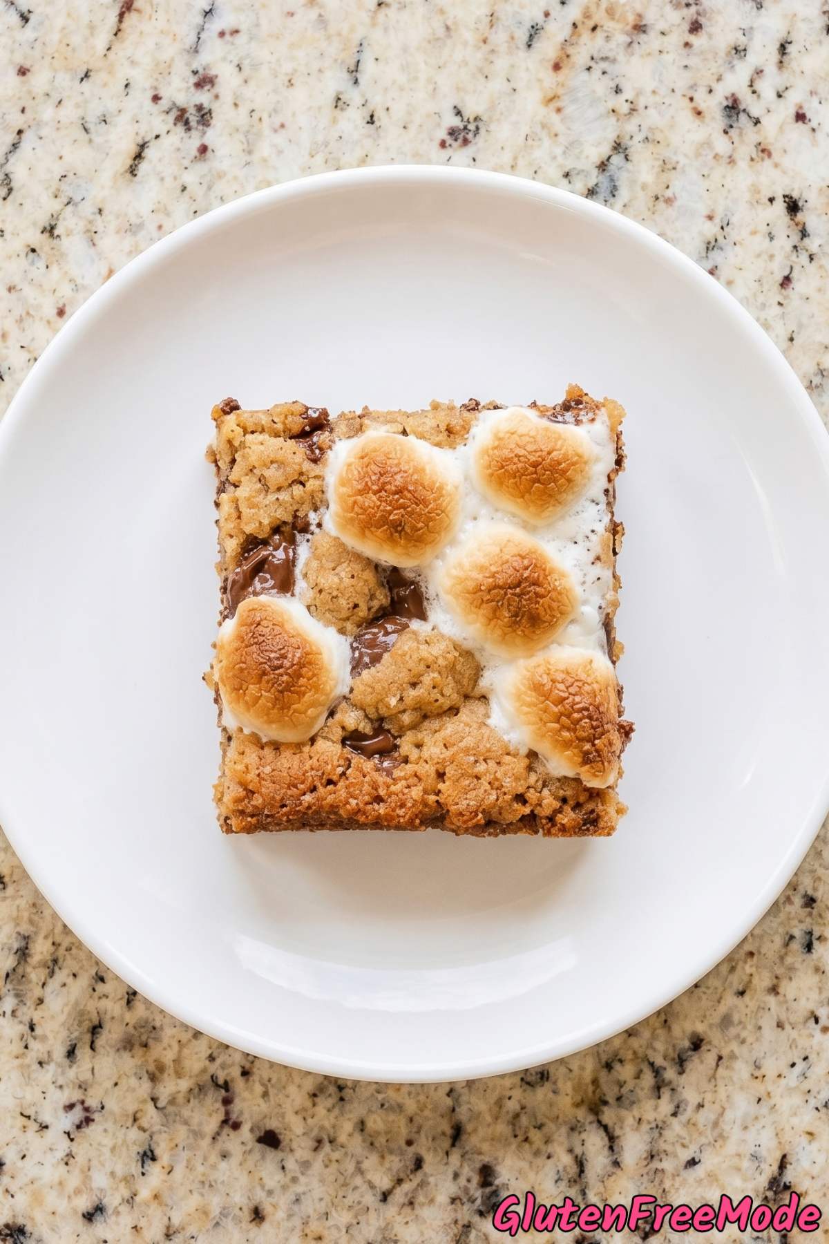 Toasted gluten free s'mores bars squares