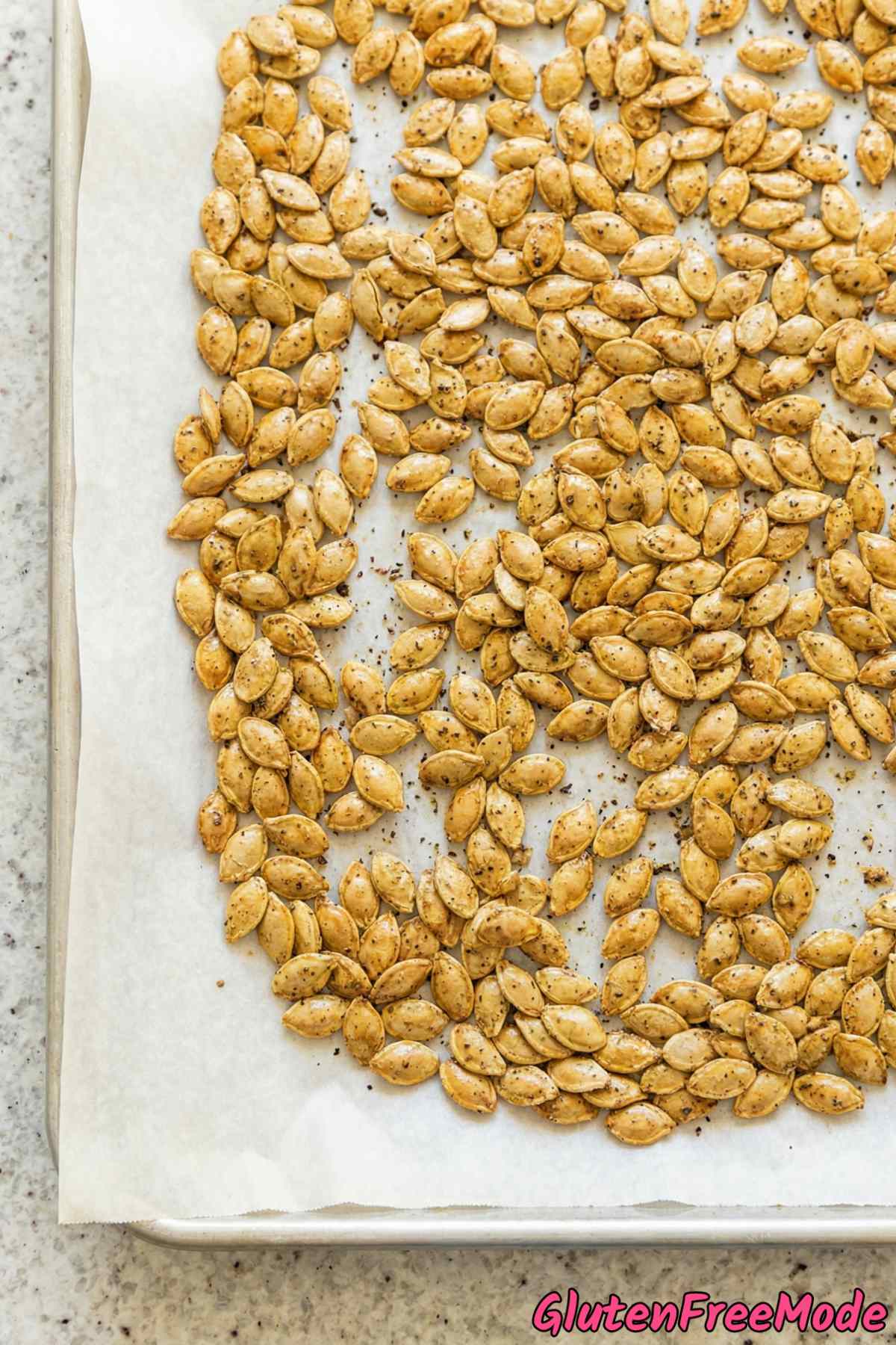 Wholesome savory roasted pumpkin seeds