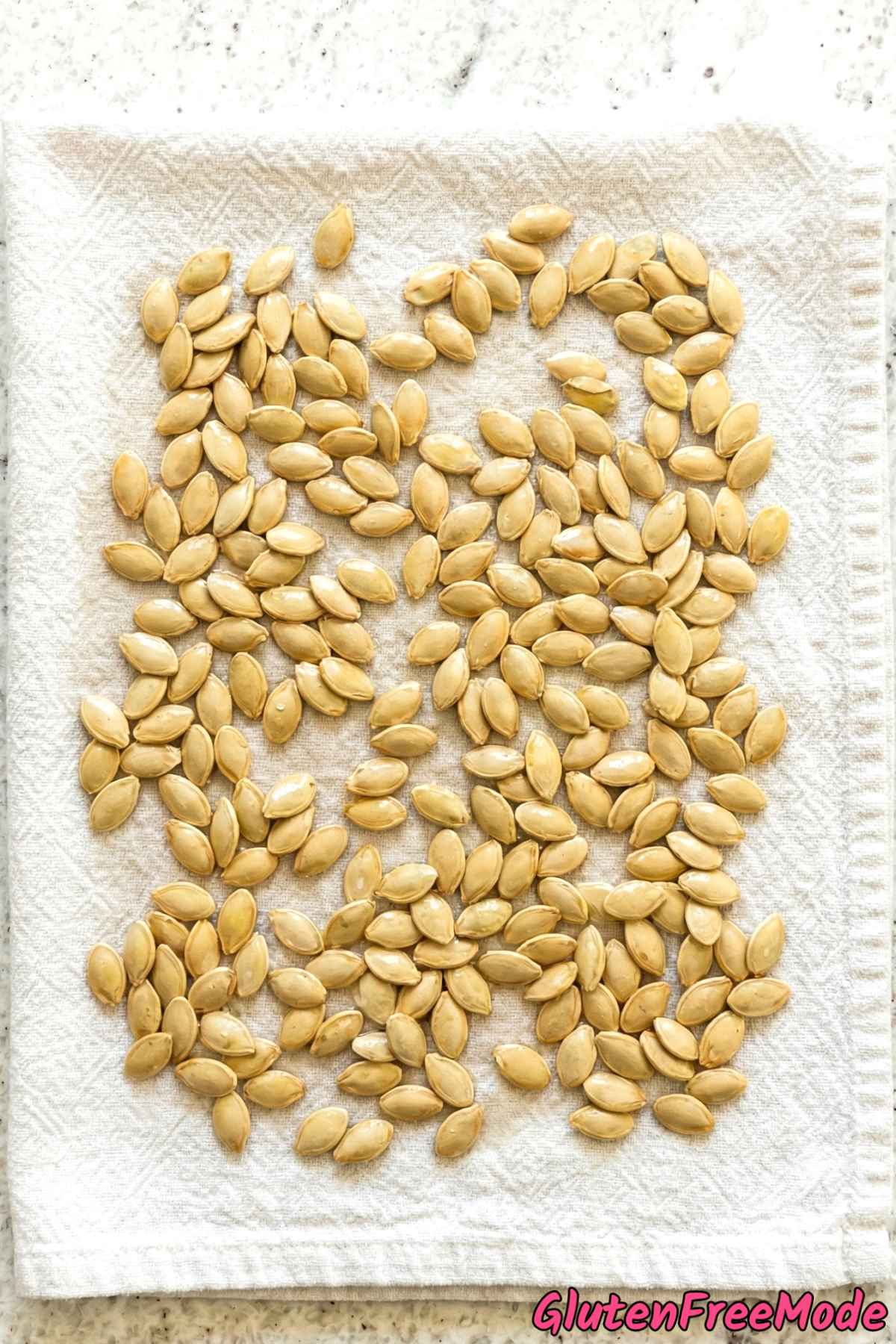 Gluten Free Savory Roasted Pumpkin Seeds Step 2