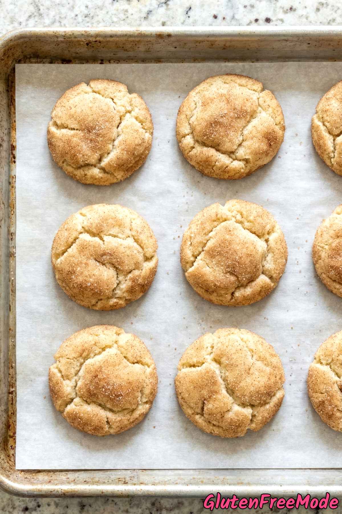 Tender soft gluten free snickerdoodle cookies