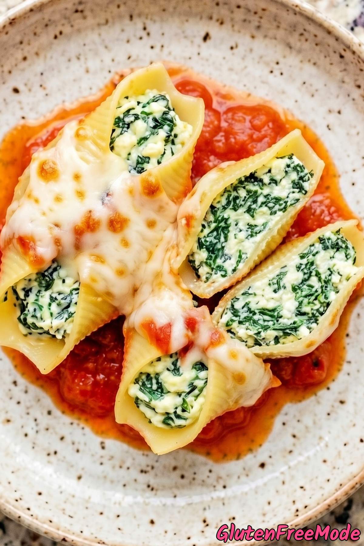 Rich gluten free stuffed shells