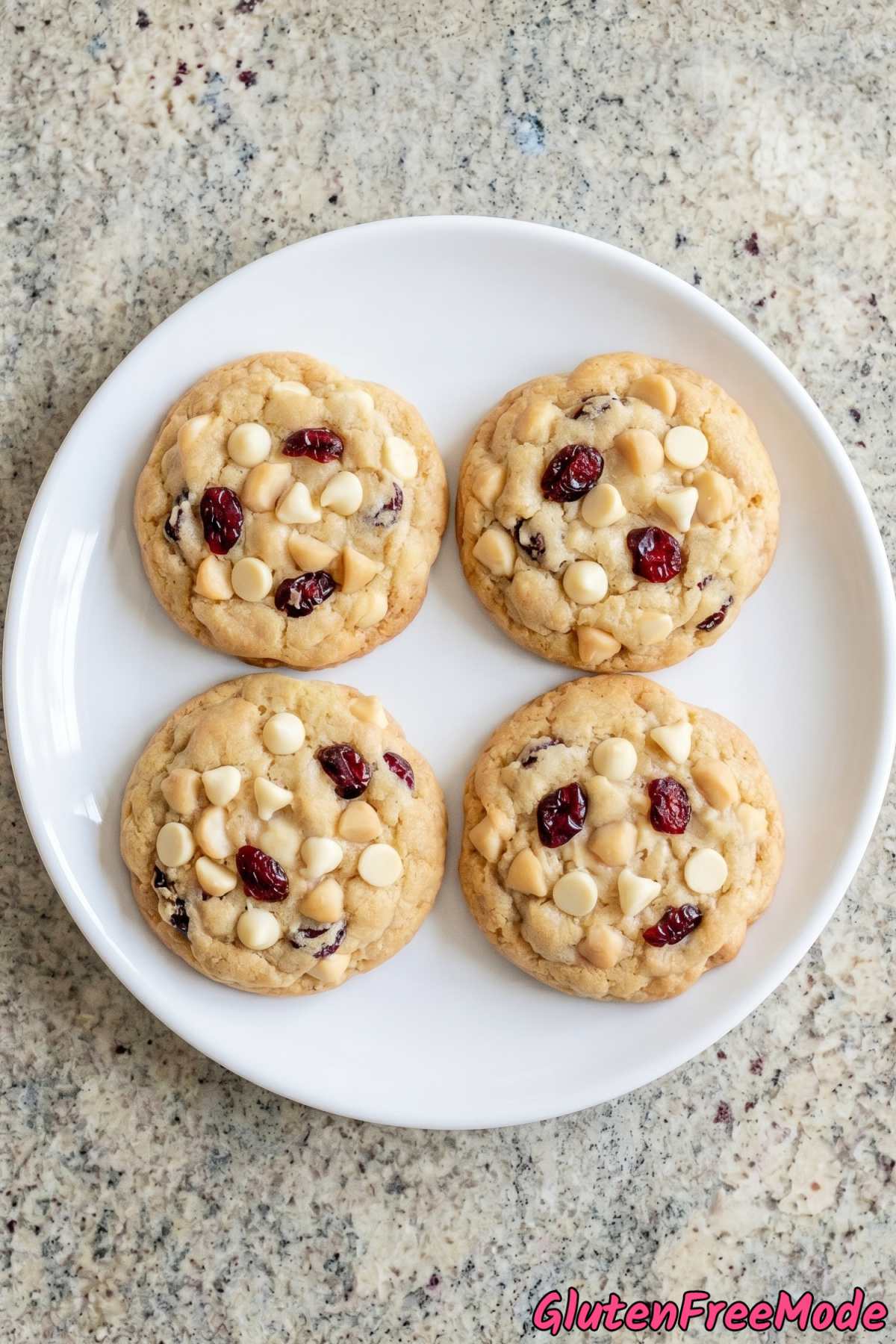 Homemade gluten free white chocolate cranberry cookies