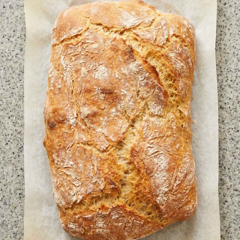 Gluten Free Ciabatta Bread