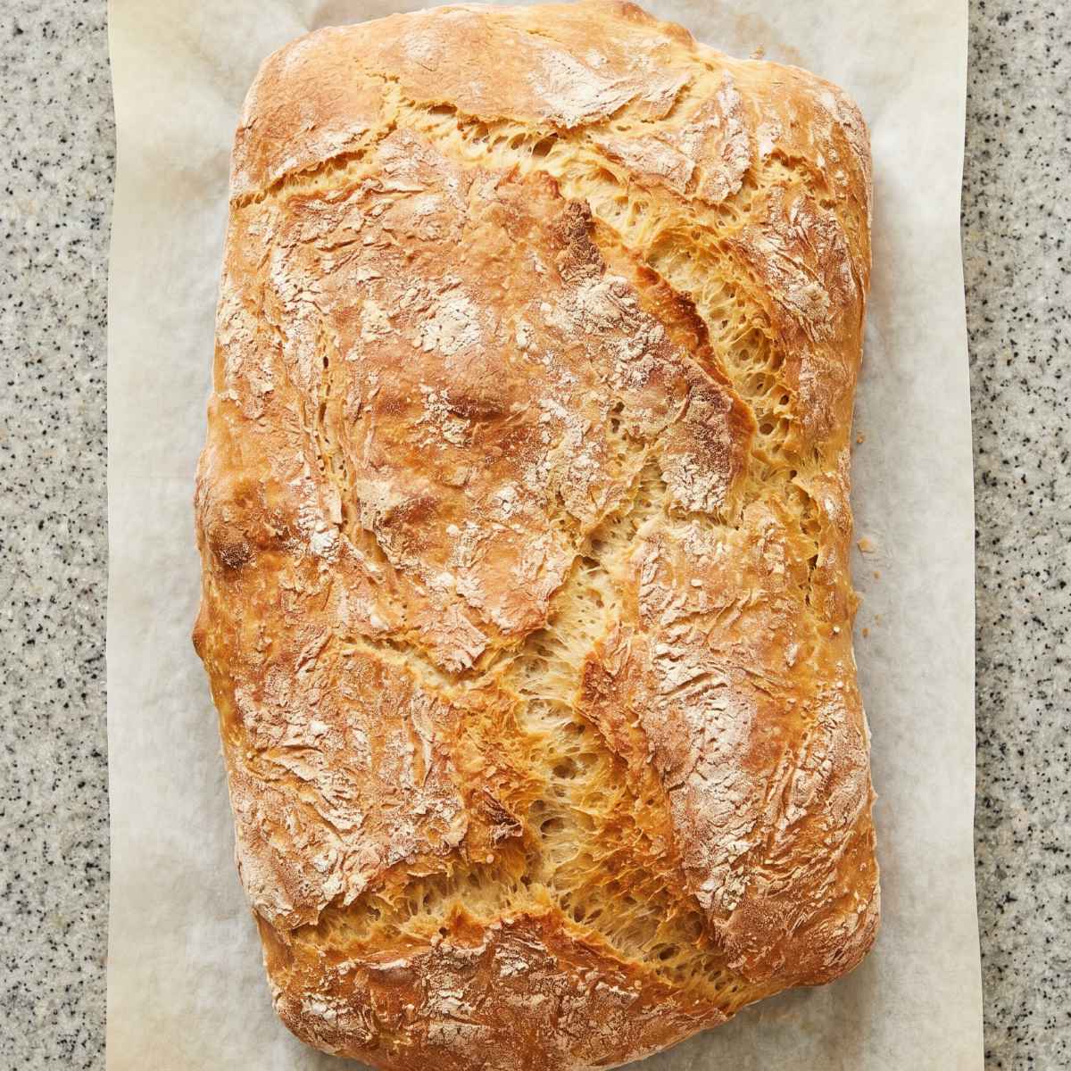 Gluten Free Ciabatta Bread